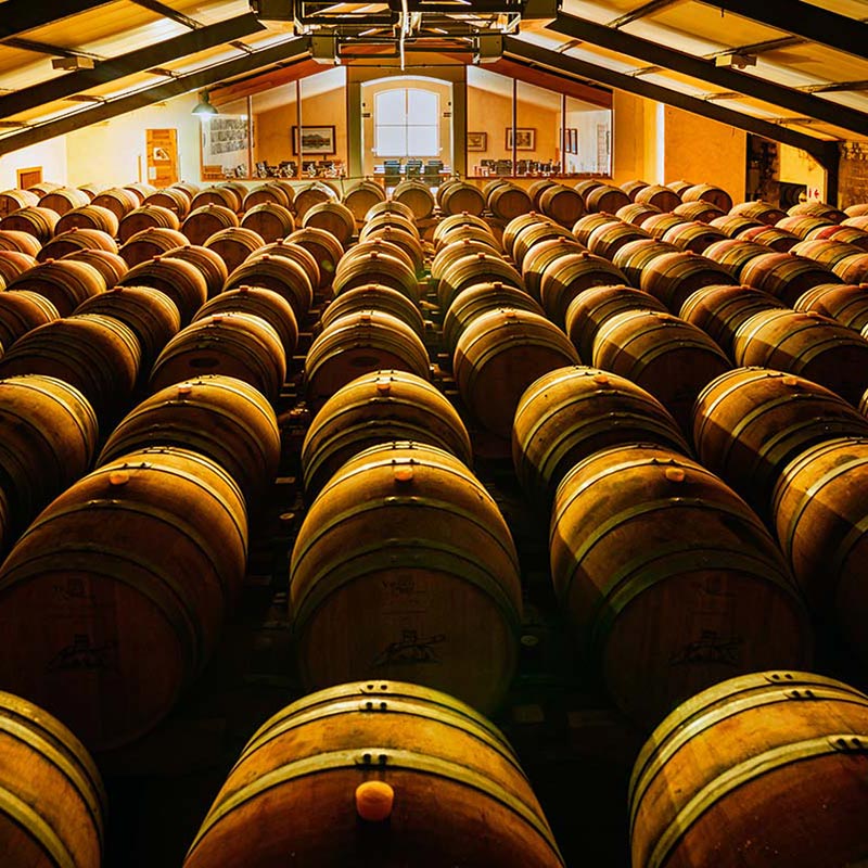 Cellar gallery